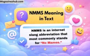 NMMS Meaning in Text